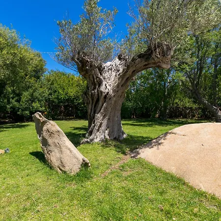 Vakantiehuis Lumaca Porto Rotondo