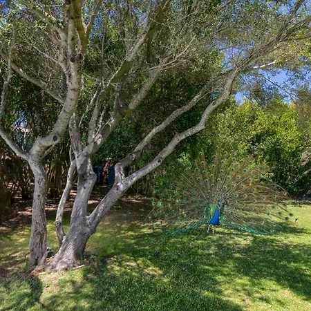 Lumaca Vakantiehuis *