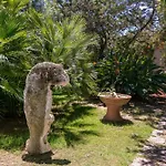Lumaca